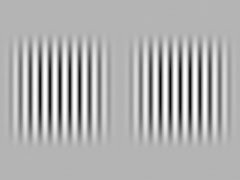 зебра комплект программ для визоконтрастометрии фото