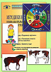 Методики исследования познавательных процессов 4-6 лет (комплект)